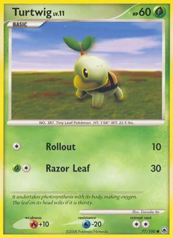 Tortipouss 77/100 — Majestic Dawn