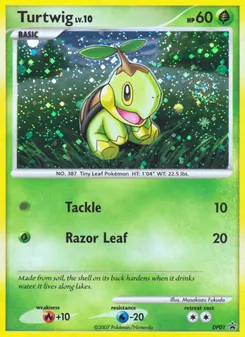 Tortipouss DP01 — DP Black Star Promos