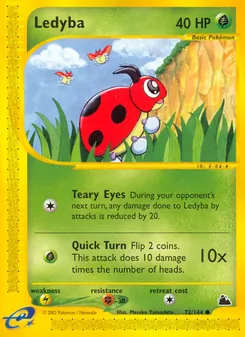 Ledyba 72/144 — Skyridge