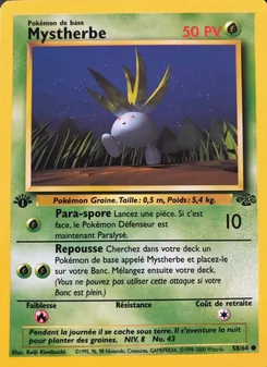 Mystherbe 58/64 — Jungle