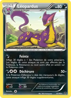 Léopardus 65/98 — Emerging Powers