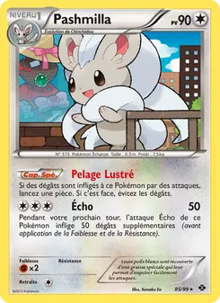Pashmilla 85/99 — Next Destinies