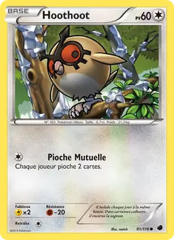 Hoothoot 91/116 — Plasma Freeze