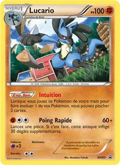 Lucario BW85 — BW Black Star Promos