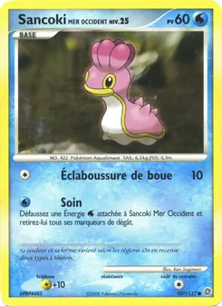 Sancoki Mer Occident 107/132 — Secret Wonders
