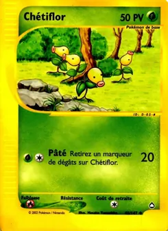 Chétiflor 45/147 — Aquapolis