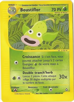 Boustiflor 65/147 — Aquapolis