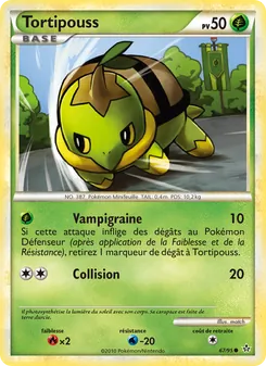 Tortipouss 67/95 — Unleashed