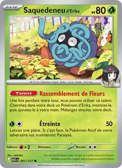 Saquedeneu d'Erika 007/217 — Ascended Heroes