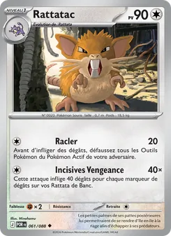 Rattatac 061/088 — Perfect Order