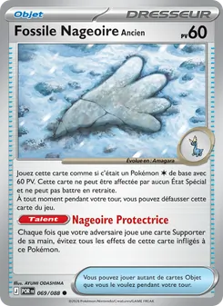 Fossile Nageoire Ancien 069/088 — Perfect Order