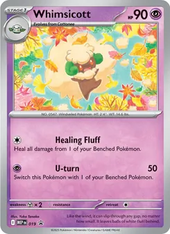 Whimsicott 019 — MEP Black Star Promos