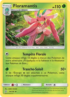 Floramantis 16/236 — Unified Minds
