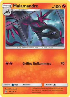Malamandre 34/236 — Unified Minds
