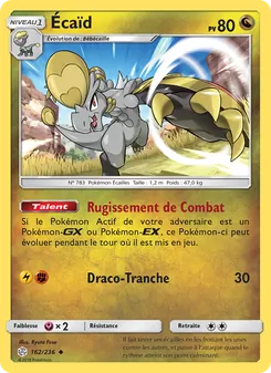 Écaïd 162/236 — Cosmic Eclipse