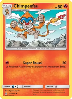 Chimpenfeu 22/156 — Ultra Prism