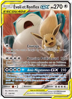 Évoli et Ronflex GX 120/181 — Team Up