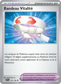 Bandeau Vitalité 197/198 — Scarlet & Violet