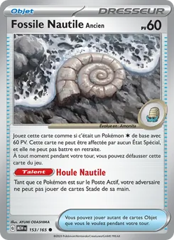 Fossile Nautile Ancien 153/165 — 151