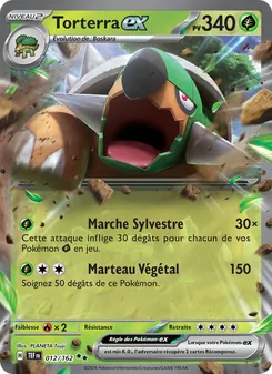 Torterra-ex 012/162 — Temporal Forces