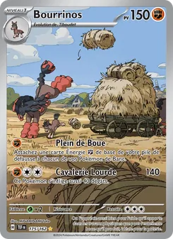Bourrinos 175/162 — Temporal Forces