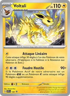 Voltali 169/225 — SVP Black Star Promos