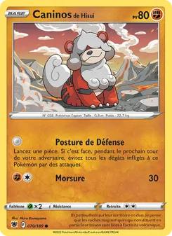 Caninos de Hisui 070/189 — Astral Radiance / Astral Radiance Trainer Gallery
