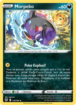 Morpeko 116/195 — Silver Tempest / Silver Tempest Trainer Gallery