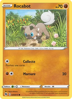 Rocabot 29/73 — Champion's Path