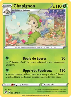 Chapignon 004/172 — Brilliant Stars / Brilliant Stars Trainer Gallery