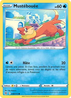 Mustébouée 038/172 — Brilliant Stars / Brilliant Stars Trainer Gallery