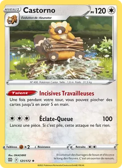 Castorno 121/172 — Brilliant Stars / Brilliant Stars Trainer Gallery