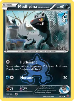 Medhyèna de la Team Aqua 16/34 — Double Crisis