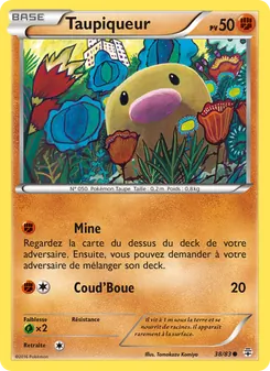 Taupiqueur 38/83 — Generations