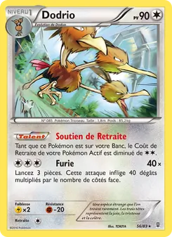 Dodrio 56/83 — Generations