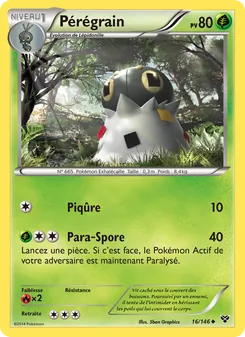 Pérégrain 16/146 — XY