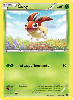 Coxy 6/146 — XY