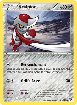 Scalpion 81/146 — XY