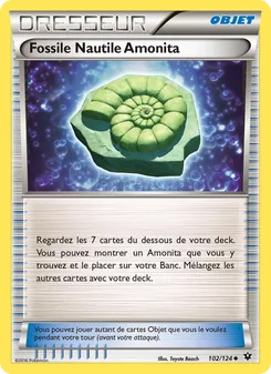 Fossile Nautile Amonita 102/124 — Fates Collide