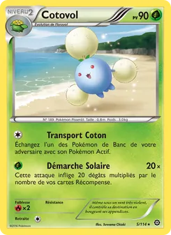Cotovol 5/114 — Steam Siege