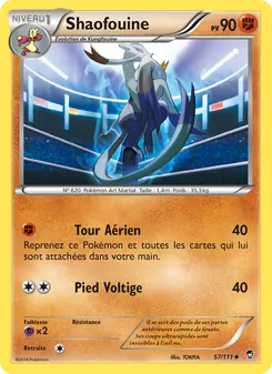Shaofouine 57/111 — Furious Fists