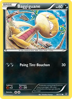 Baggiguane 66/111 — Furious Fists