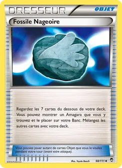 Fossile Nageoire 98/111 — Furious Fists