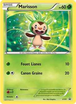 Marisson XY01 — XY Black Star Promos