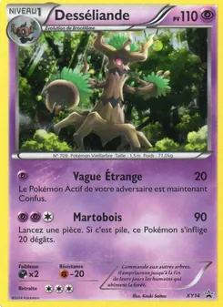 Desséliande XY14 — XY Black Star Promos