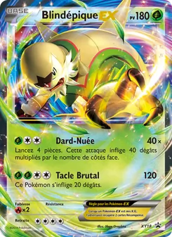 Blindépique EX XY18 — XY Black Star Promos