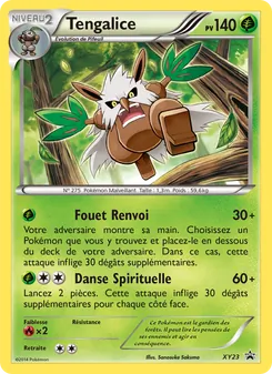 Tengalice XY23 — XY Black Star Promos