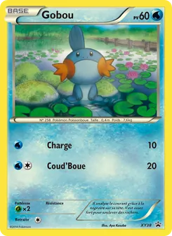 Gobou XY38 — XY Black Star Promos
