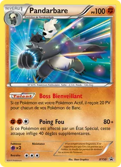 Pandarbare XY50 — XY Black Star Promos