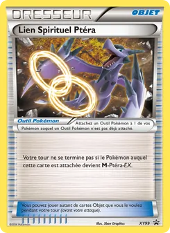 Lien Spirituel Ptéra XY99 — XY Black Star Promos